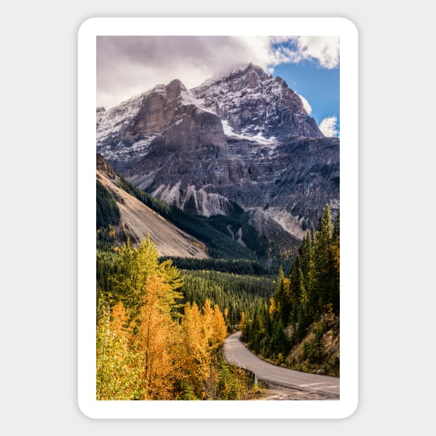 The Poplars of Yoho Valley Road Sticker by krepsher